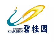 武汉碧桂园地产